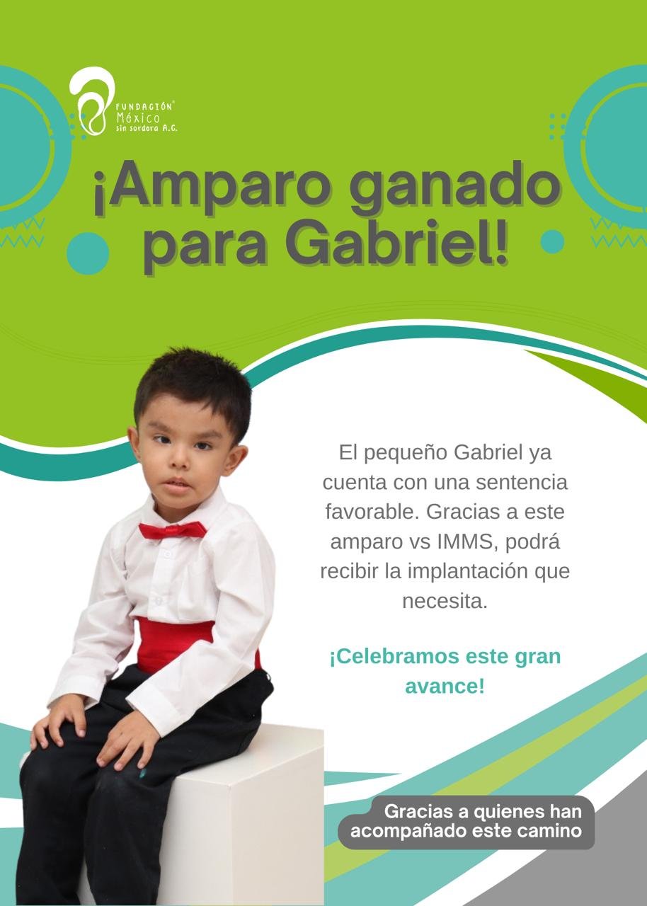 GABRIEL GUARNEROS MEZA