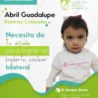 Abril Guadalupe Ramírez Consuelos