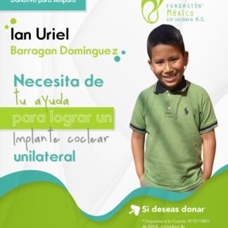 Ian Uriel Barragan Domínguez