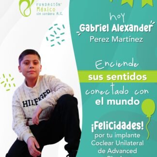 Gabriel Alexander Pérez Martínez