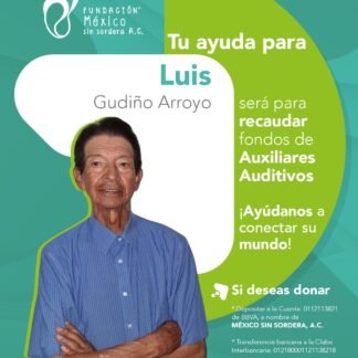 Luis Gudiño Arroyo